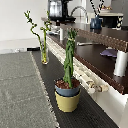 Apartment Eva *